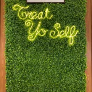 Meet your Posher, Grace